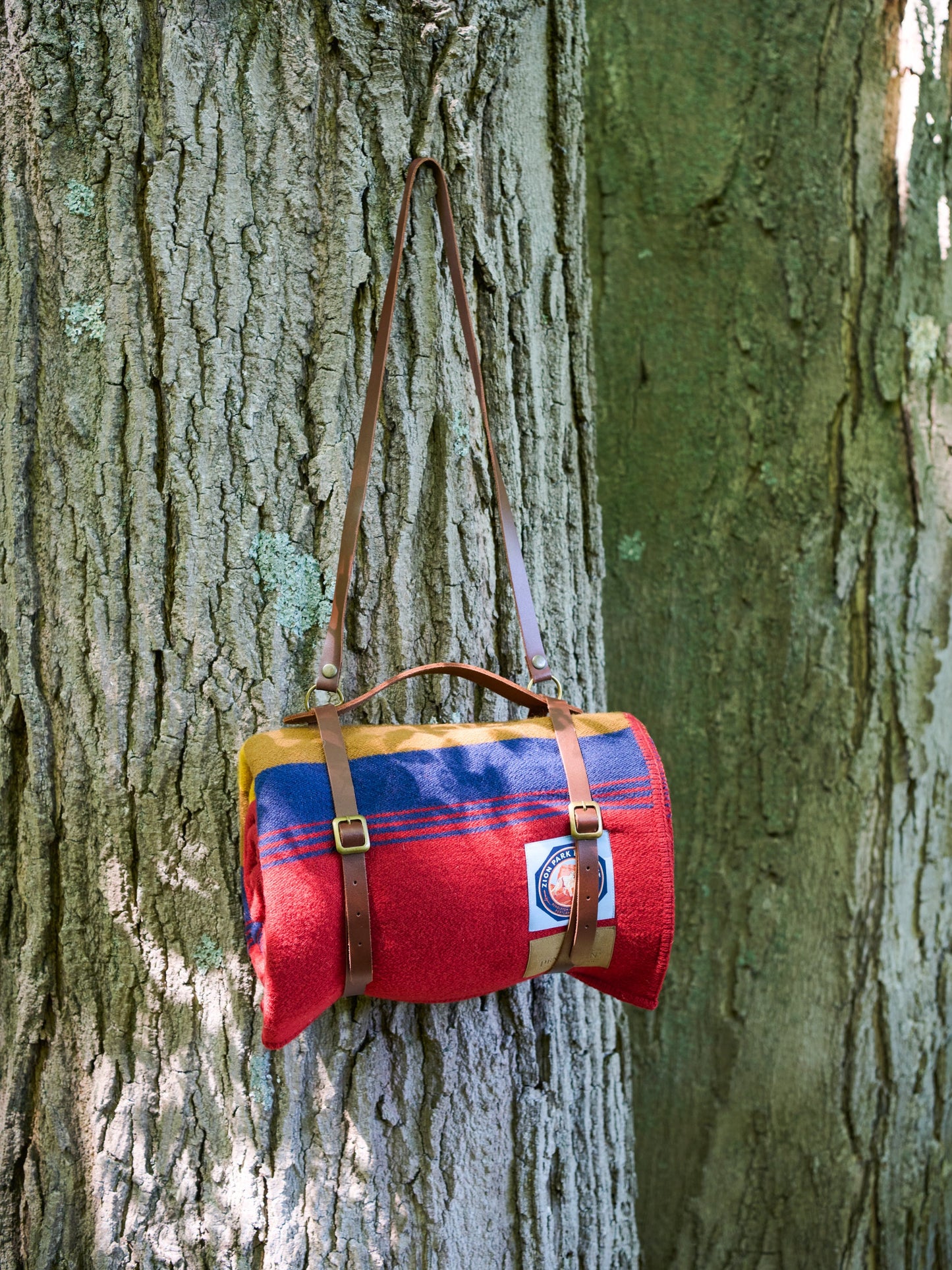 Pendleton Zion National Park Throw with Carrier