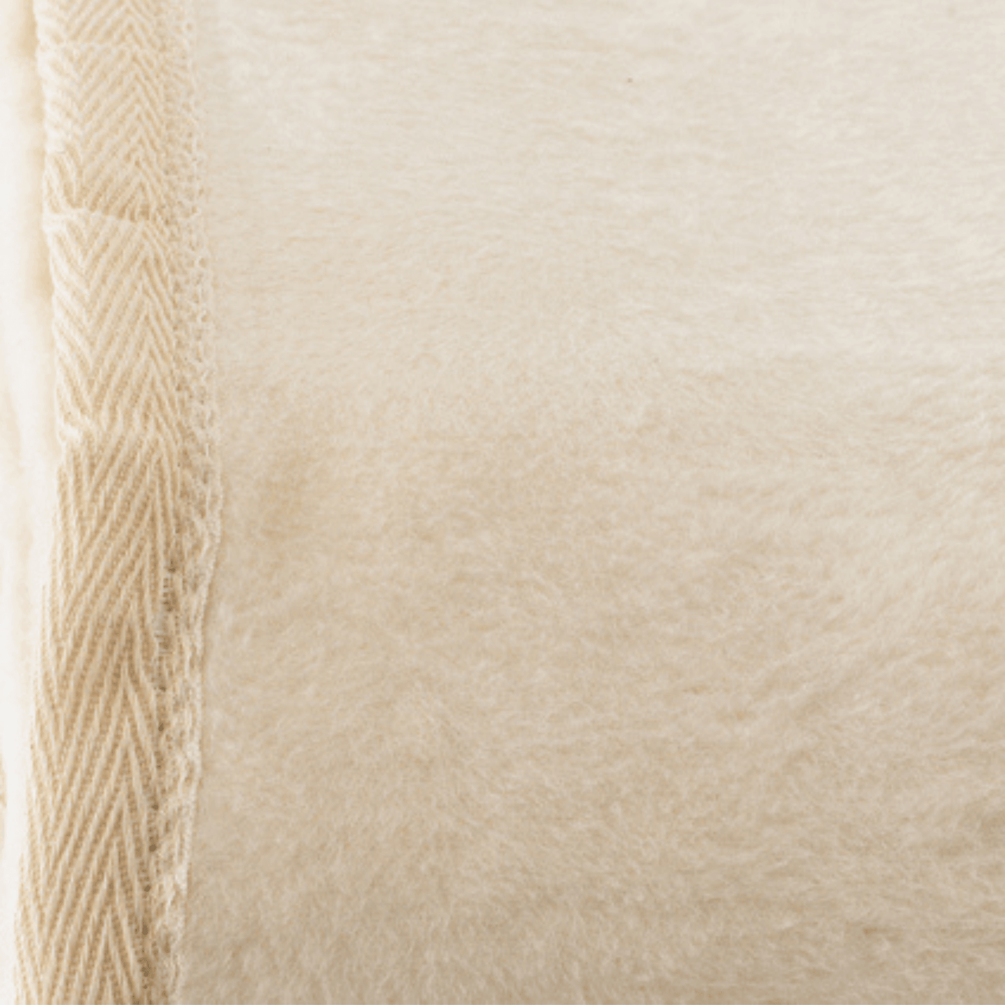 Kashmina Classic Brushed Cotton Blanket - Throw Blankets - The Well Appointed House